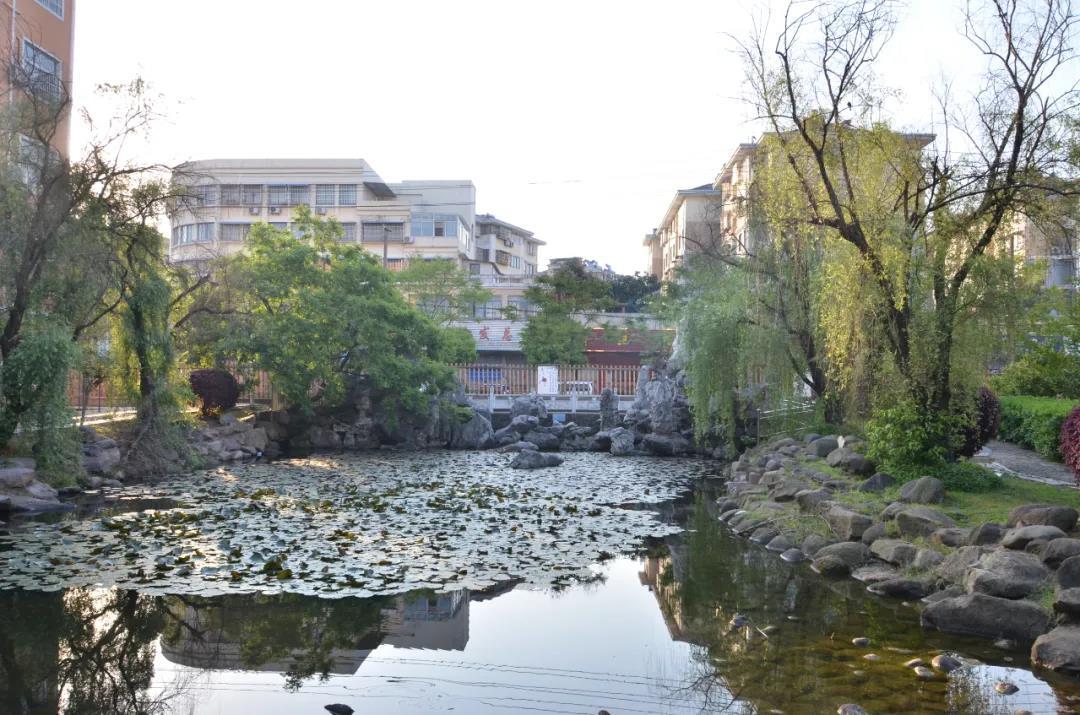 树文明之风创建文明校园内容,创建文明校园活动纪实