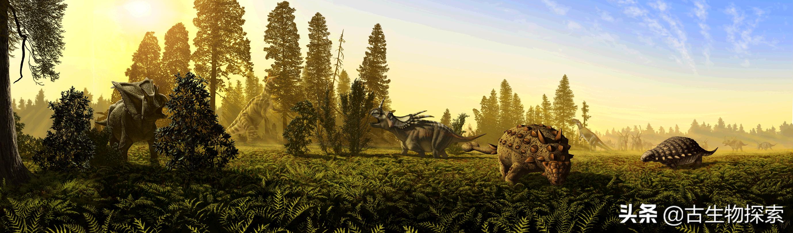 加拿大翼龙图片,加拿大发现恐龙化石