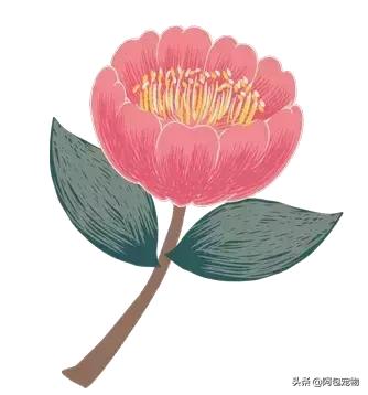 简单有效治疗猫癣的方法,最有效的猫癣治疗方法