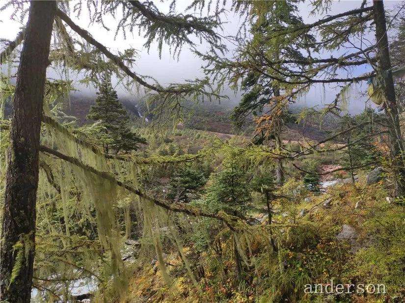 陪着贡嘎过仲秋，深夜听到女生的尖叫（上）