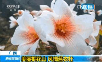 忆清明祖辈给我们留下了什么?