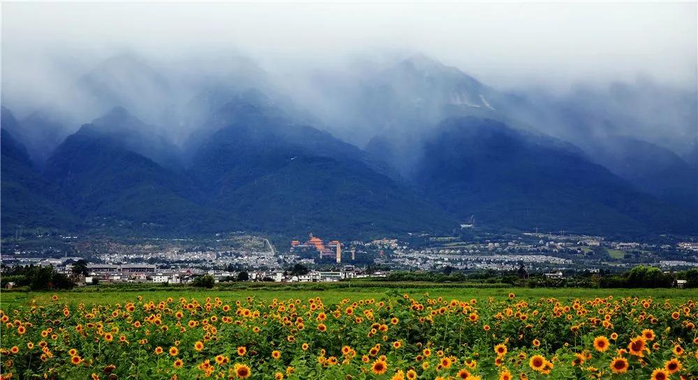 云南研学旅行路线推荐,云南寒假研学游推荐