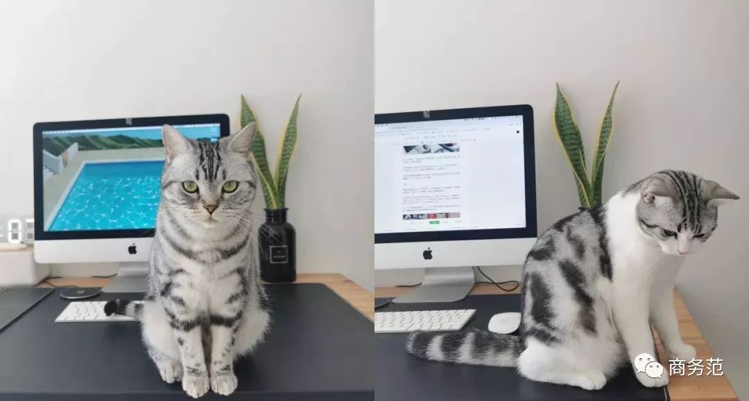 宅在家里继续分享好物,在家上班必备30件好物