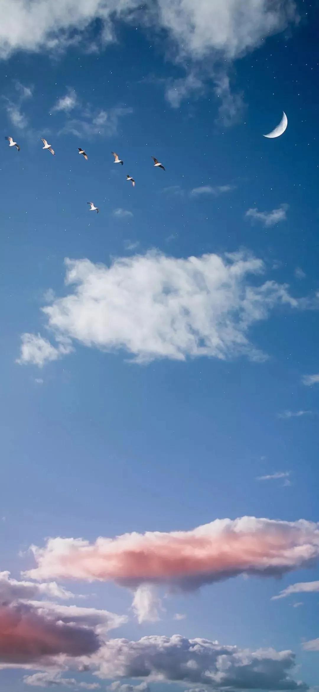 不要等到父母老去才知道后悔壁纸,努力让父母过上更好的生活的壁纸