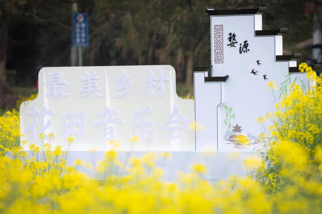 婺源油菜花节,2023婺源油菜花节