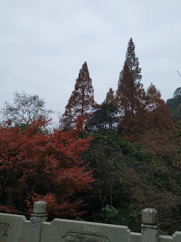 杭州市周末自驾游去哪里好玩,杭州出发周末旅游攻略