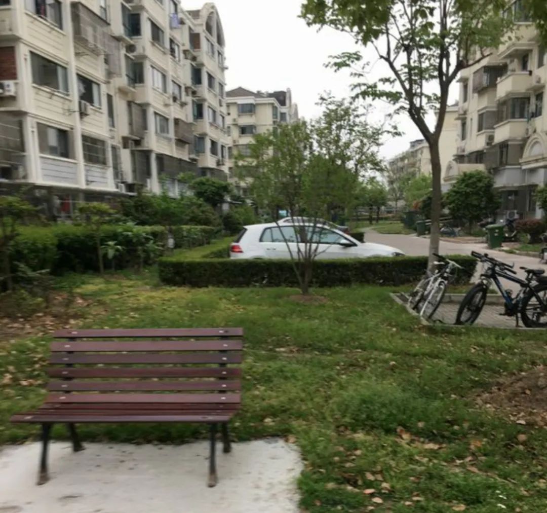 上海最容易进的十大公办小学,上海门槛低容易进的优质小学