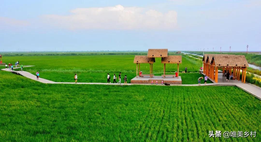 乡村旅游如何打造差异化,乡村旅游的七大思路