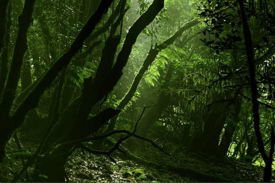 在竹溪河发现宫崎骏里的花海,昆明偶遇宫崎骏世界里的草原