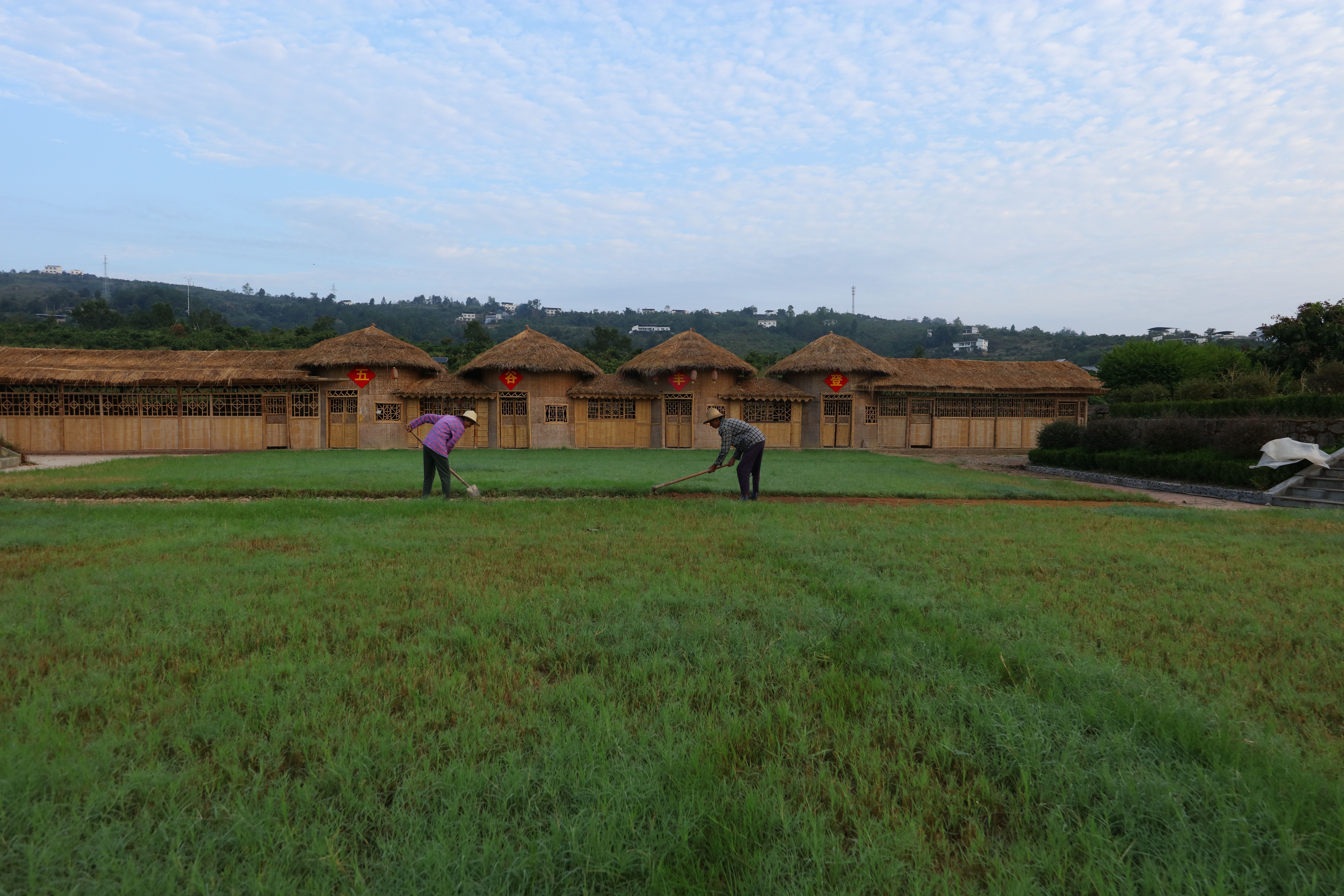 重庆理工大学助力,重庆市大学乡村振兴