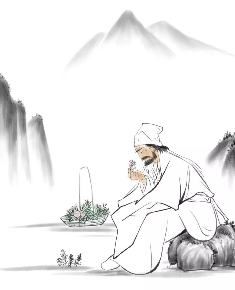 这几类人并不能用当归补血，关于当归的功效和禁忌请了解一下