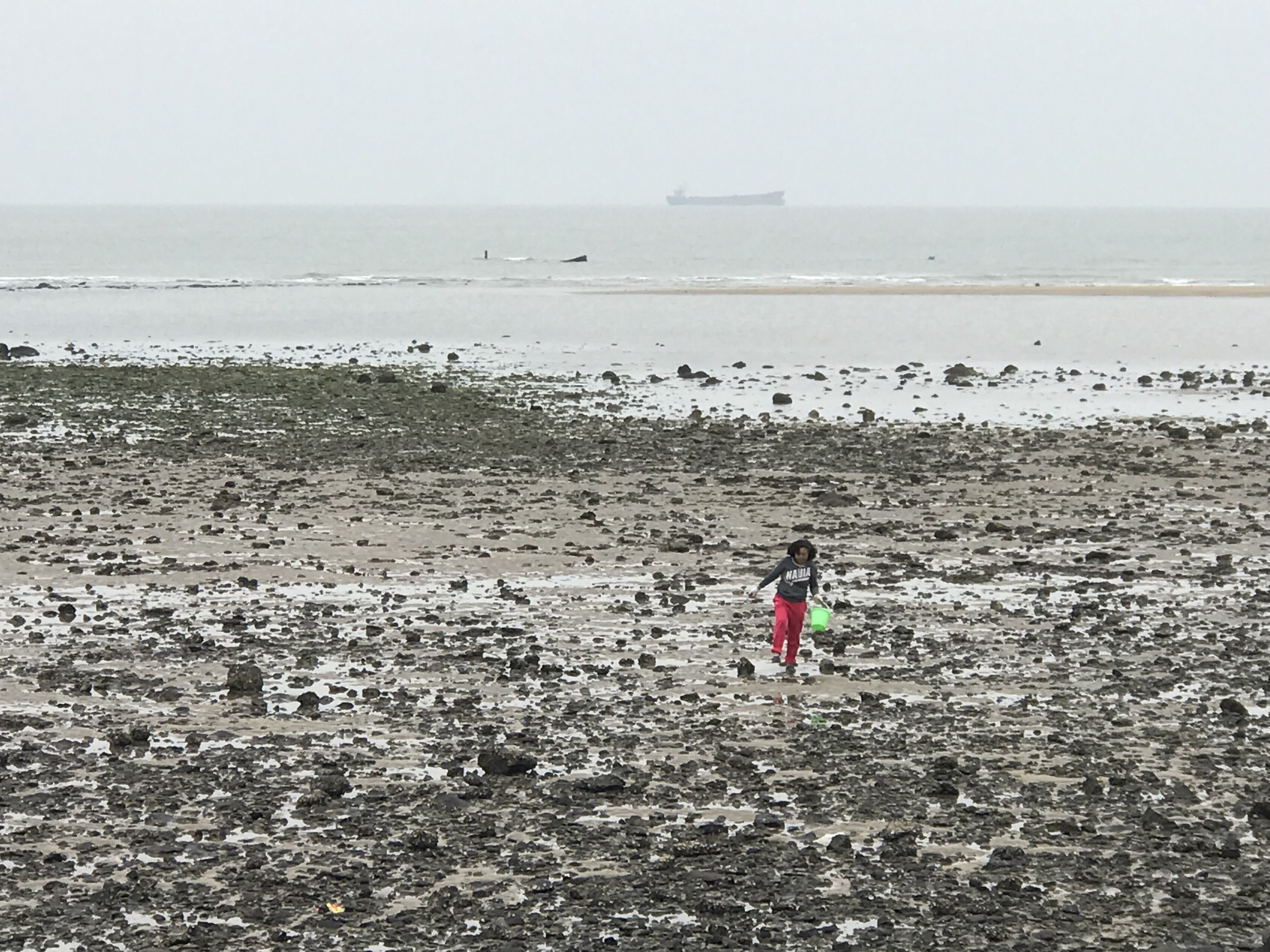 再说房车人是咋算账的；1212房车旅行车的事很担心；赶海