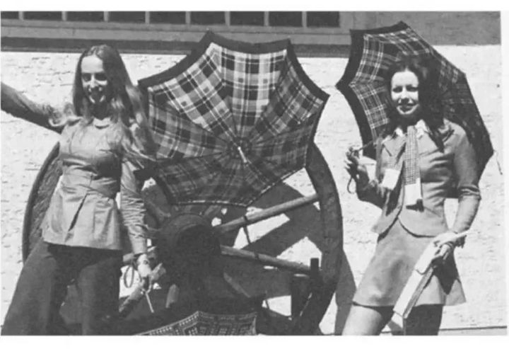 伞晴雨两用高颜值复古风胶囊伞,日系雨伞长伞推荐