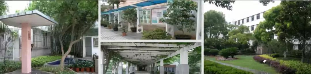 无需择校，升学一次搞定！魔都一贯制公办校深分析！