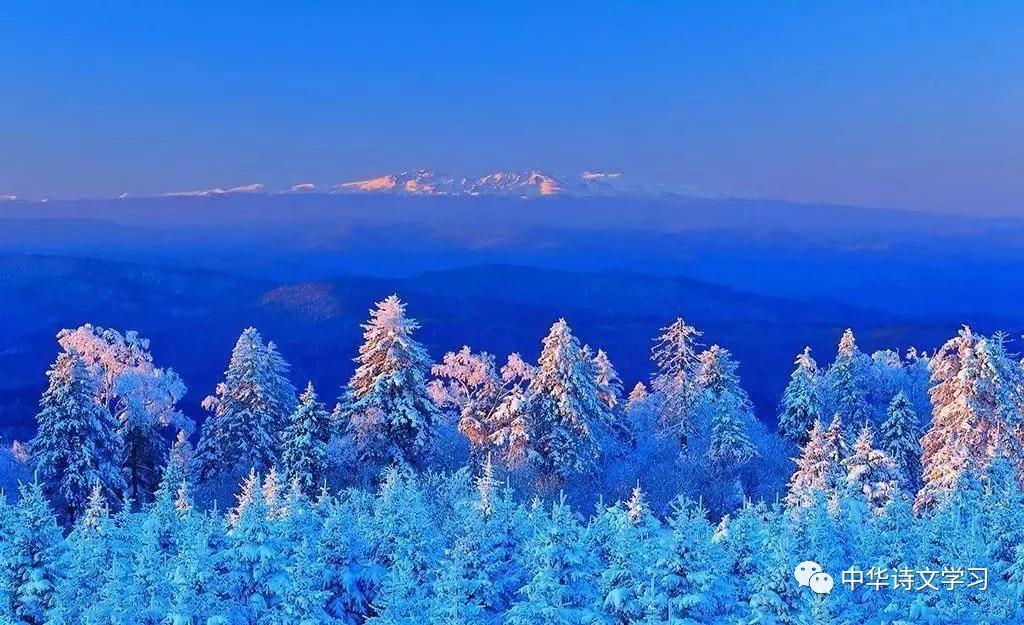 读这十首古诗词，仿佛身在自然山水间