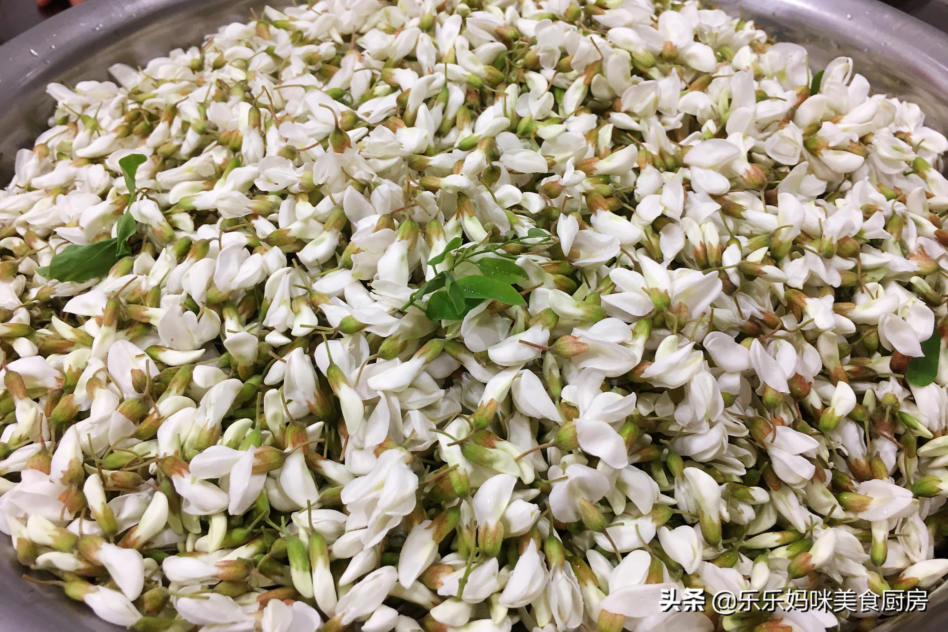 怎么能让槐花一直保持香气,槐花怎样储存保鲜的时间较长