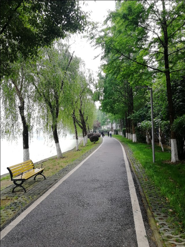 武汉菱角湖公园有亭子吗,武汉菱角湖公园开放时间