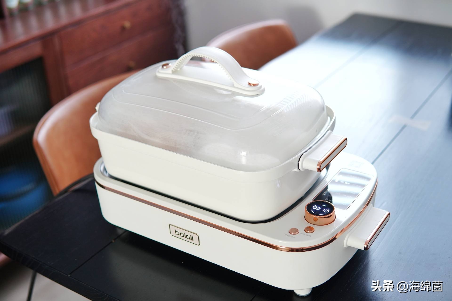bolali博拉利多功能蒸汽料理锅,蒸汽桑拿锅测评