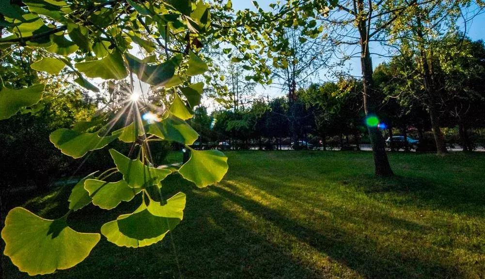 40年的大变化,四十年巨变陇原