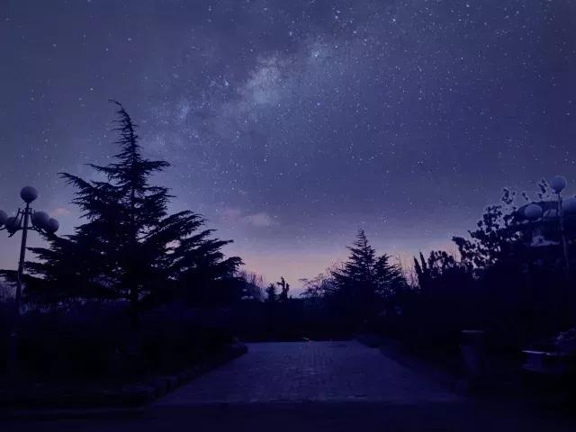 辽宁师范大学辽宁省一流课程,辽宁省普通高等院校