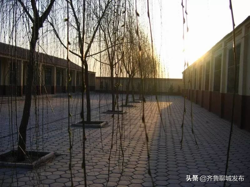 聊城二中历史,十年印象阿布