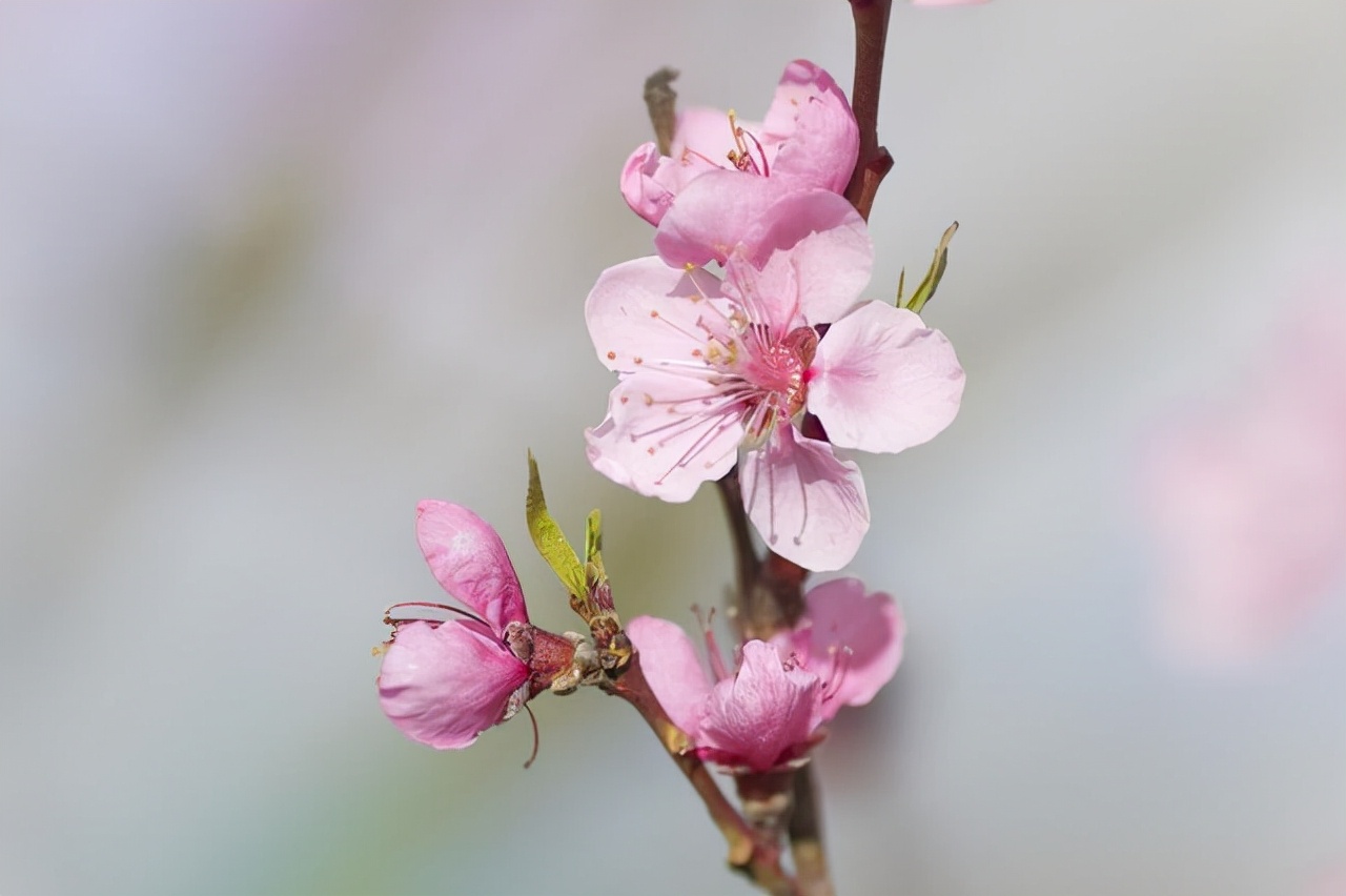 很想念一个人怎么给他发微信,如何给想念的人发微信
