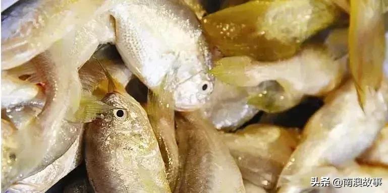 南澳渔民捕鱼视频,南澳渔民出海