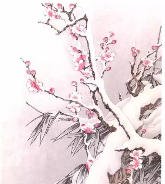 工笔梅花的分染上色教程,工笔梅花的10种设色技法收藏起来