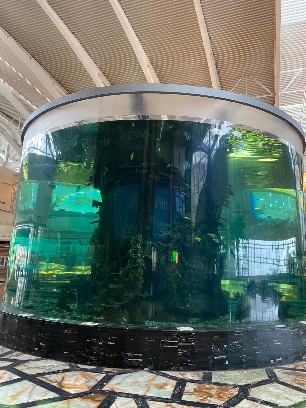 惠州十里银滩老房子,惠州十里银滩别墅