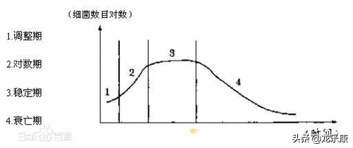 观赏鱼要吃的,观赏鱼需要补充维生素么