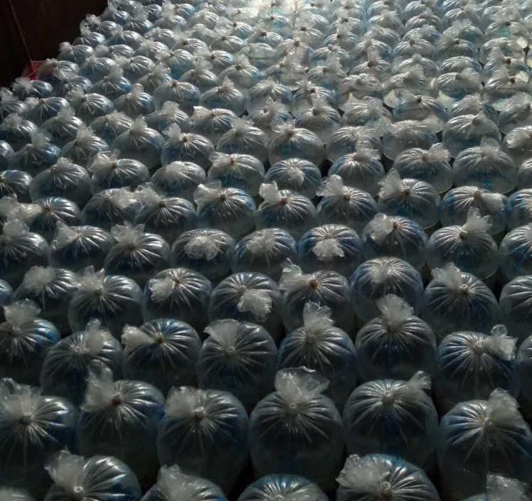 竹鼠养殖的研究报告,竹鼠如何预防疾病