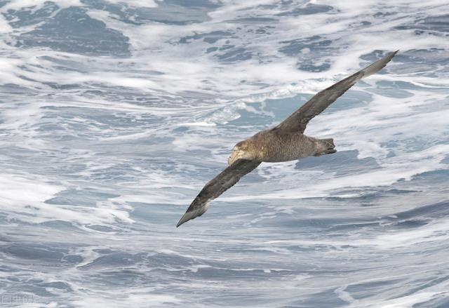 走向高考成功的天龙八部（下）