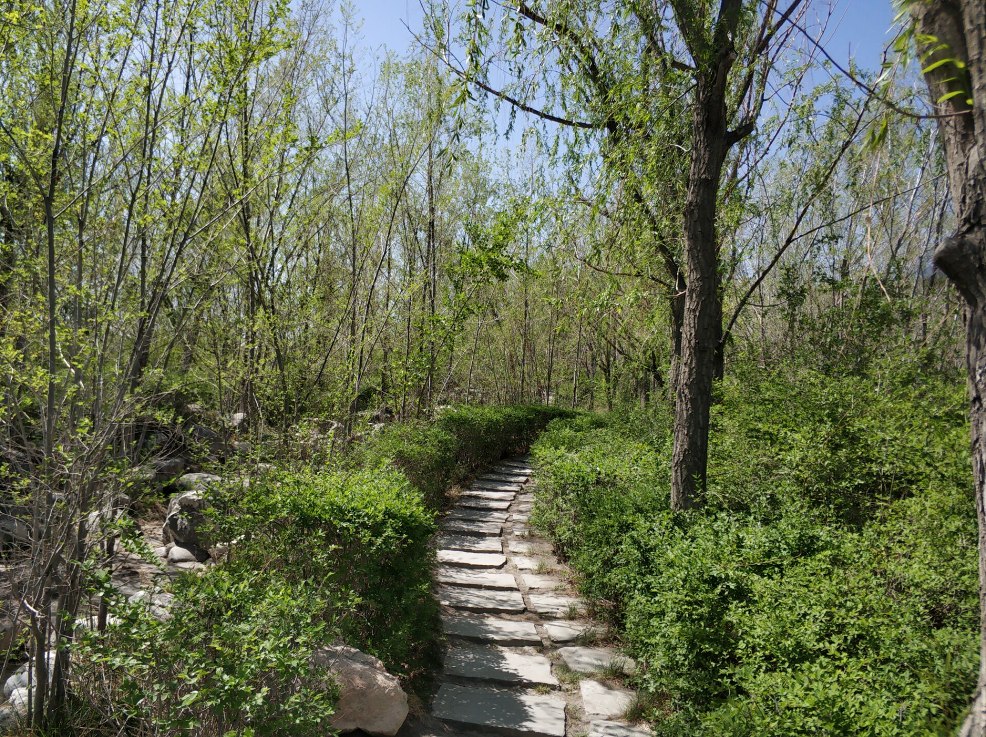 乌鲁木齐居然有这么漂亮的地方,乌鲁木齐周边森林公园在哪里