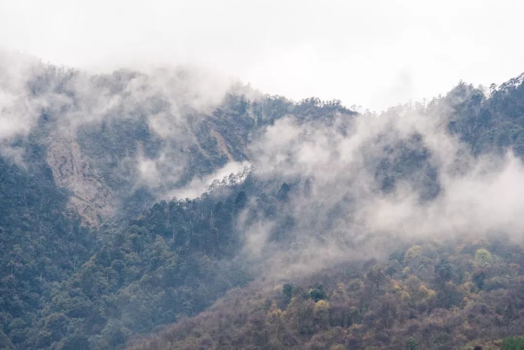 红了！黑竹沟迎来颜值巅峰，分分钟带你穿越五彩童话世界