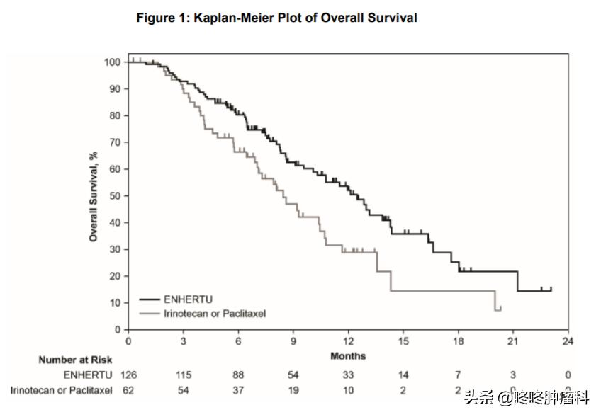 抗癌药120万一针成功案例,胃癌新药ds-8201临床试验