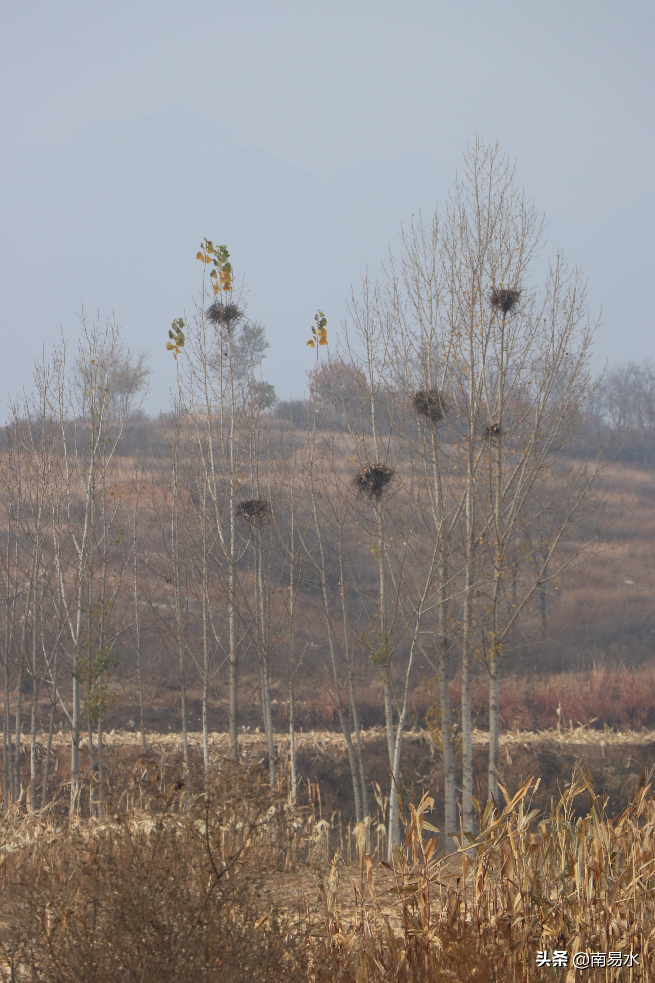 家乡风景带你一起感受自然的味道,令你难以忘怀的家乡的味道