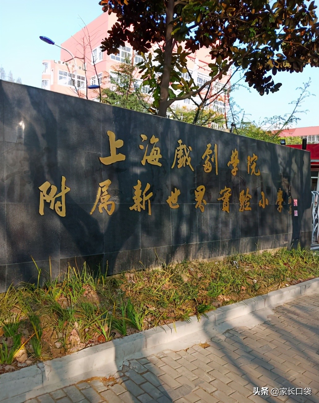 上海改名的学校排名前十,上海计划2021改名的学校