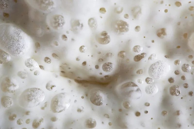 旧金山适合种植植物,旧金山为什么那么美