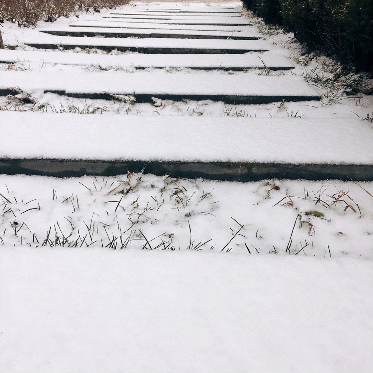 立冬时节最经典的诗,立冬这首古诗带给我们的感受
