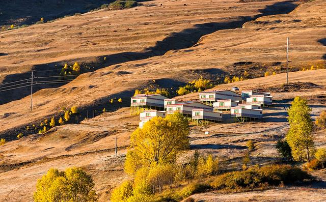 四川省理塘县旅游形象大使丁真,丁真四川甘孜理塘县旅游形象提升