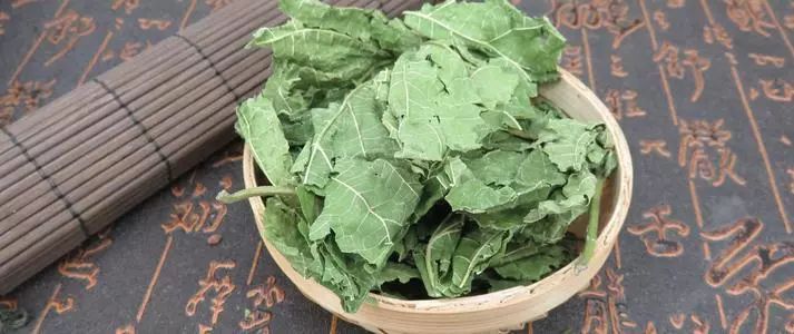 暑假将至合理用眼预防近视,暑假用眼过度如何调理好眼睛