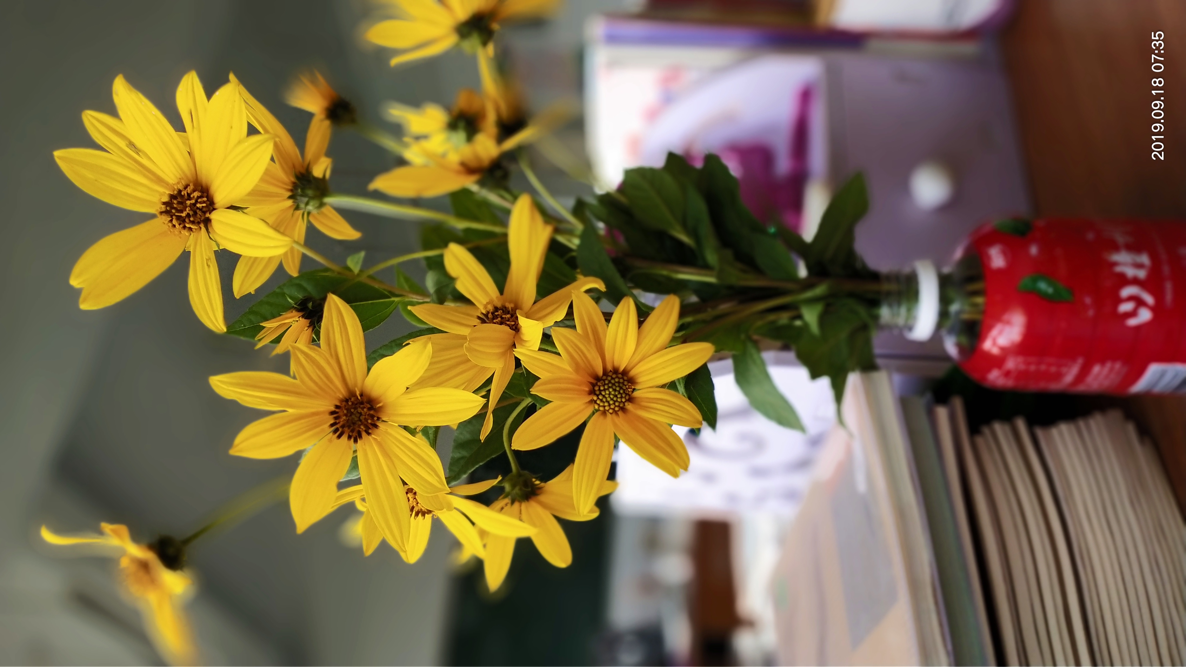 小学造句技巧讲解,造句的方法和技巧小学1年级