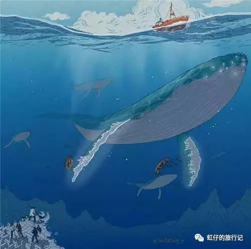 菲律宾海岛五日游报价,不会英语去菲律宾自由行