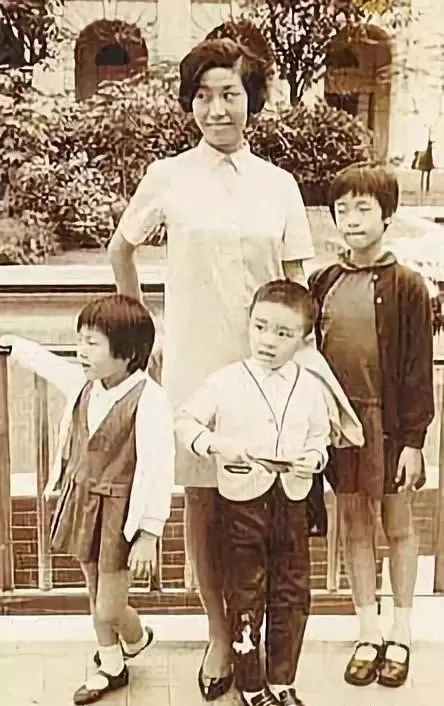 为什么人人都讨厌蚊子,为什么人人都讨厌绿茶