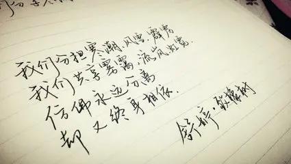 致橡树传达爱情观解析,致橡树表达的爱情观主旨句是什么