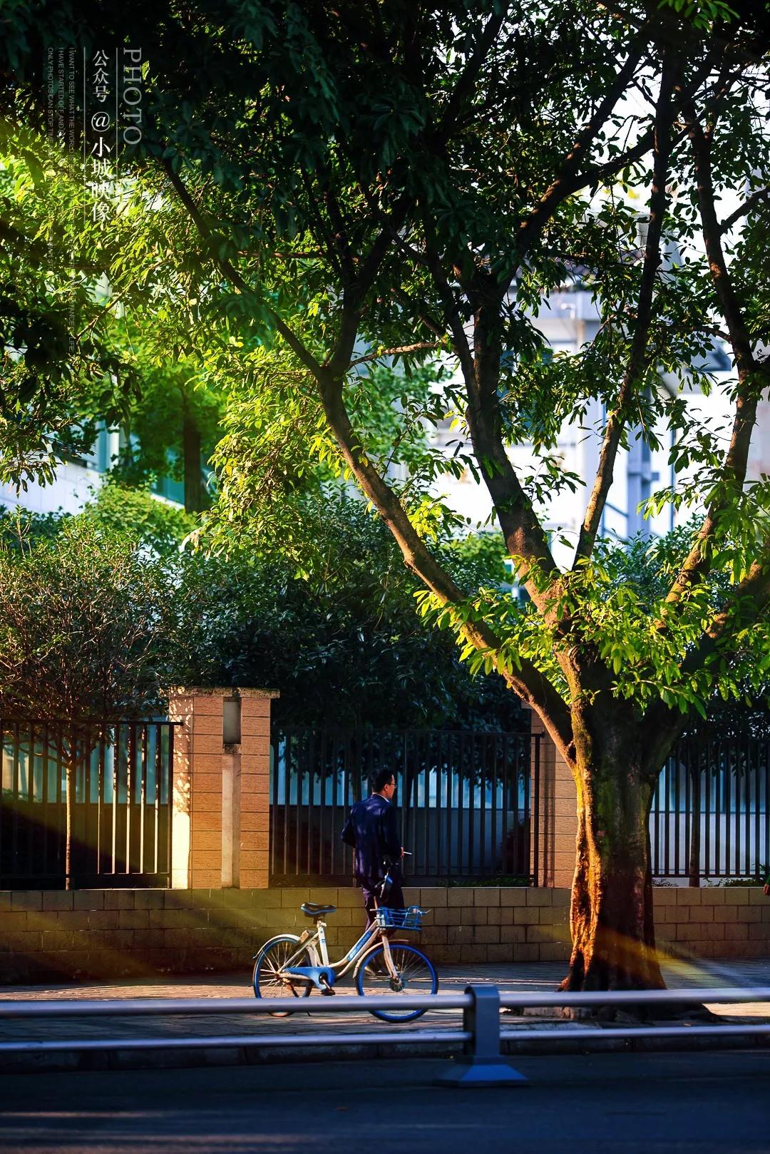 郫县是怎么发展起来的,郫县区为什么这么出名