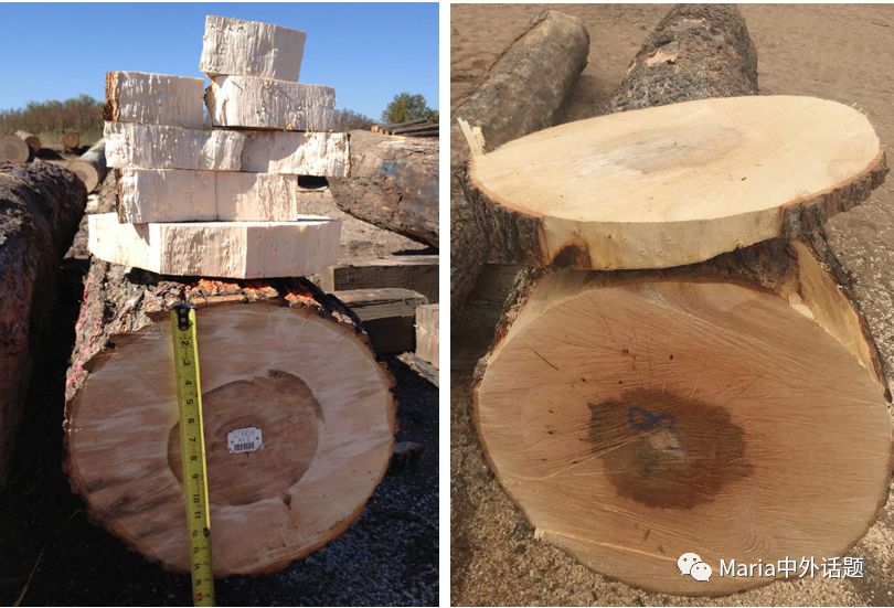 美国硬木干货价格,北美硬木排行