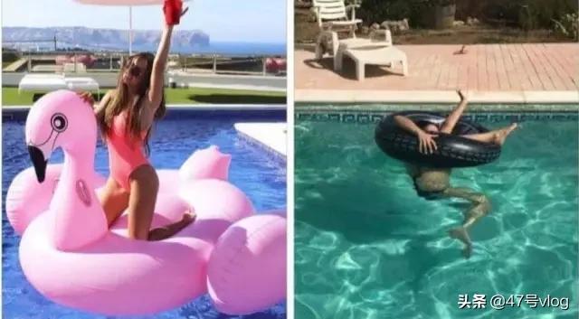 家里两只猫咪可以一起养吗,家里有宝宝适合养什么猫咪