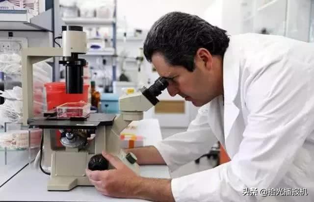 人造肉在中国市场,人造肉开售视频