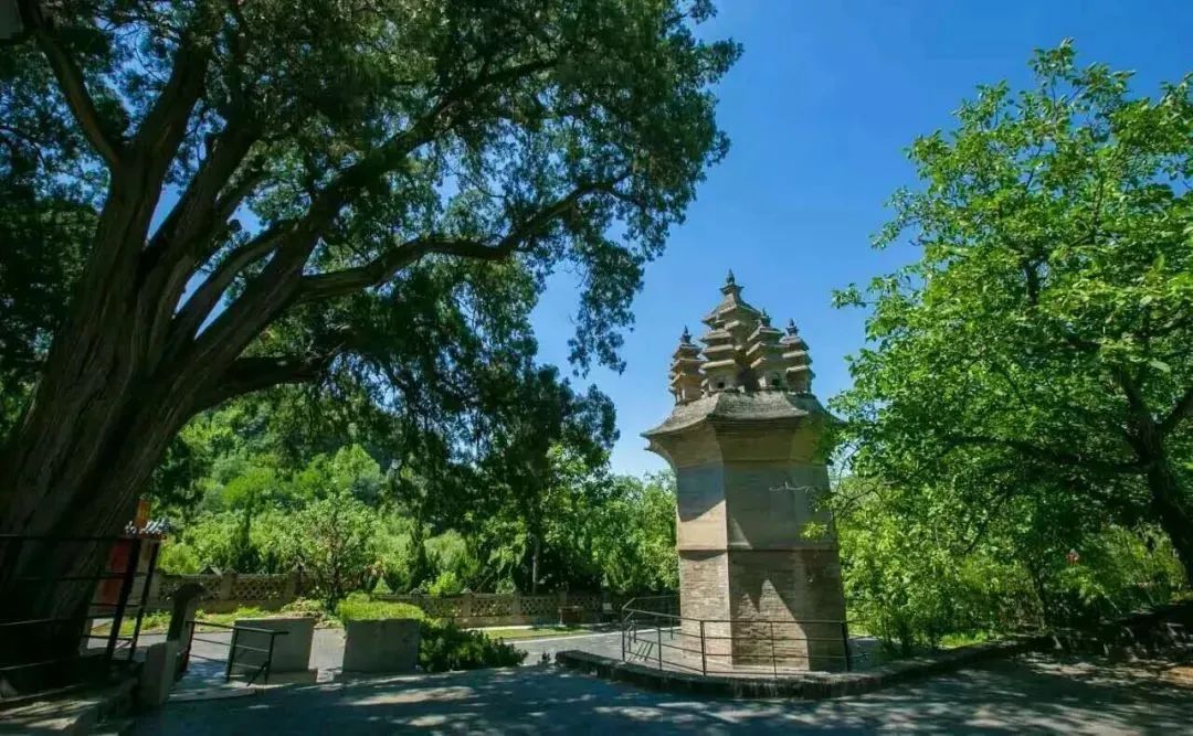 济南适合带娃去的公园,济南适合遛娃的景区